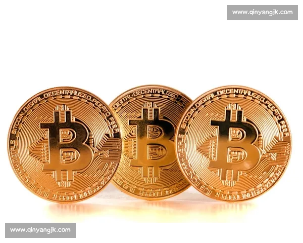 ng28官网入口下载全面指南下载安装步骤与注意事项解析